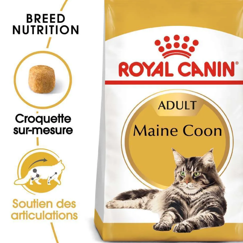 ROYAL CANIN - Croquettes chat Maine Coon Adulte à partir de 15 mois 4kg