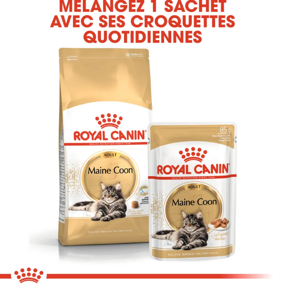 ROYAL CANIN - Croquettes chat Maine Coon Adulte à partir de 15 mois 4kg