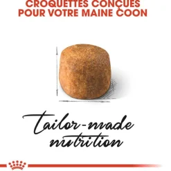 ROYAL CANIN - Croquettes chat Maine Coon Adulte à partir de 15 mois 4kg