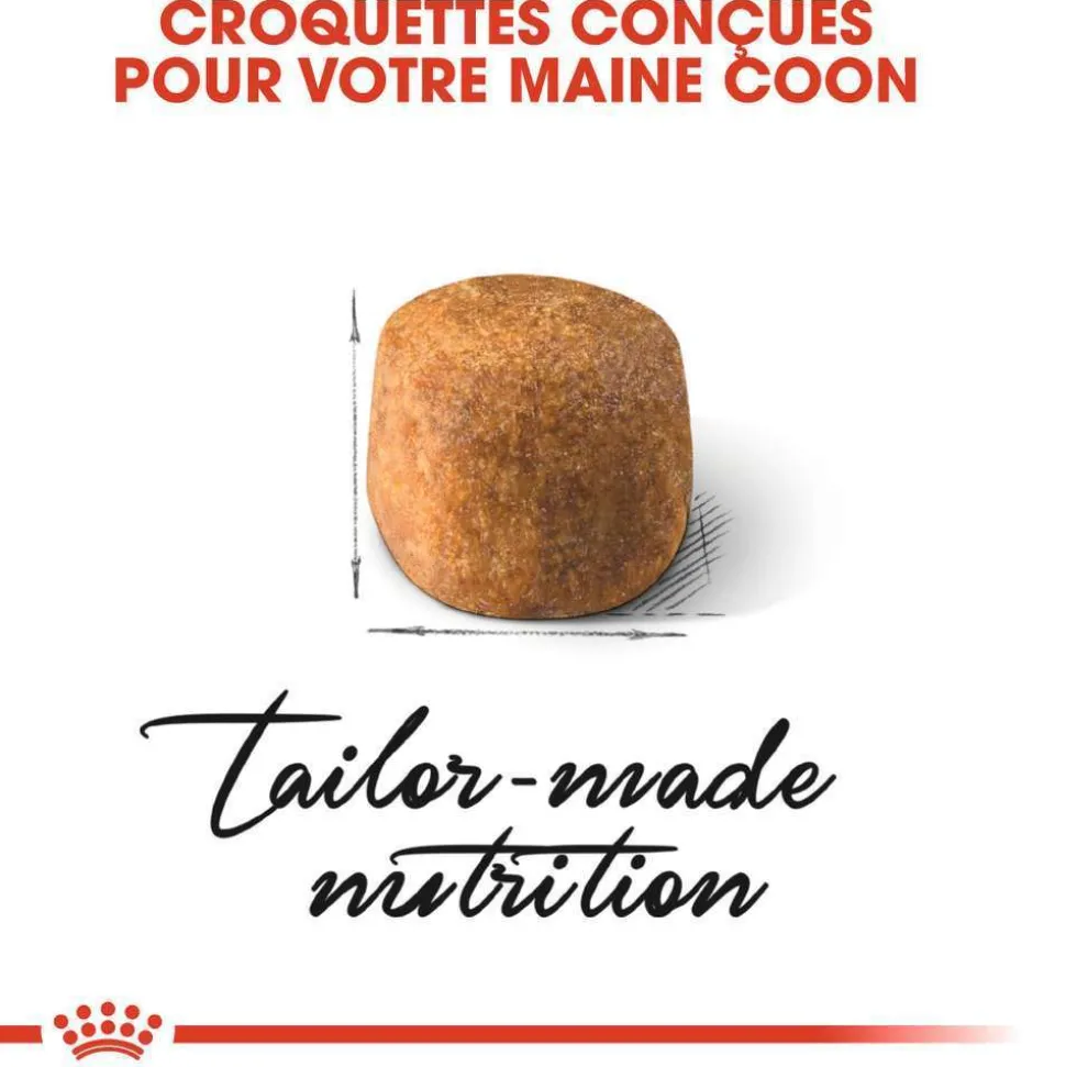 ROYAL CANIN - Croquettes chat Maine Coon Adulte à partir de 15 mois 4kg