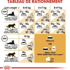 ROYAL CANIN - Croquettes chat Maine Coon Adulte à partir de 15 mois 4kg