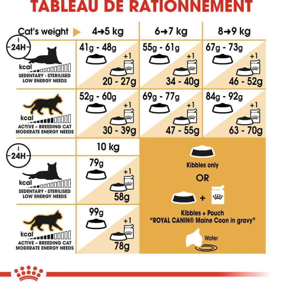 ROYAL CANIN - Croquettes chat Maine Coon Adulte à partir de 15 mois 4kg