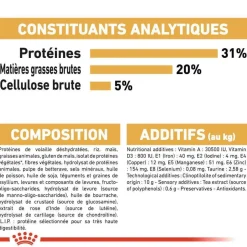 ROYAL CANIN - Croquettes chat Maine Coon Adulte à partir de 15 mois 4kg