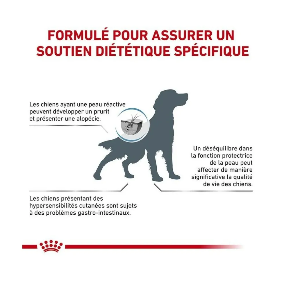 ROYAL CANIN - Croquettes chien veterinary dog skin care - royal canin 2 kg