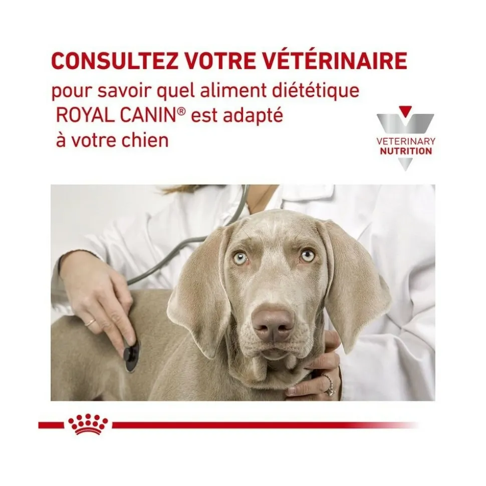 ROYAL CANIN - Croquettes chien veterinary dog skin care - royal canin 2 kg