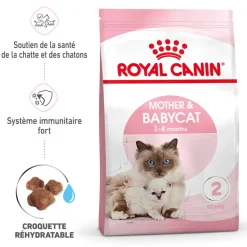 ROYAL CANIN - Croquettes chaton de 0 à 4 mois et chatte Mother&Babycat 2kg