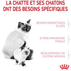 ROYAL CANIN - Croquettes chaton de 0 à 4 mois et chatte Mother&Babycat 2kg