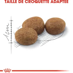 ROYAL CANIN - Croquettes chat Adulte stérilisé de 1 à 7 ans Sterilised 10kg