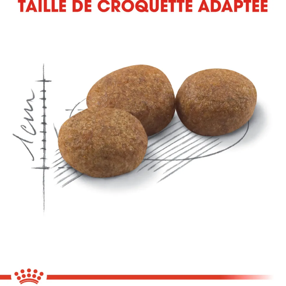 ROYAL CANIN - Croquettes chat Adulte stérilisé de 1 à 7 ans Sterilised 10kg