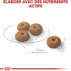 ROYAL CANIN - Croquettes petit chien stérilisé Mini Sterilised 3kg