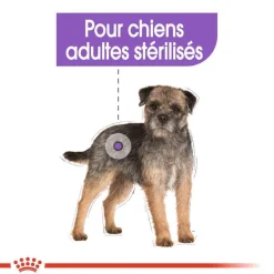 ROYAL CANIN - Croquettes petit chien stérilisé Mini Sterilised 3kg