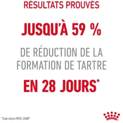 ROYAL CANIN - Croquettes pour chat limitant la formation de tartre Dental Care 1,5kg