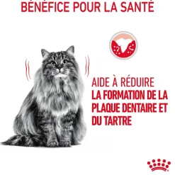 ROYAL CANIN - Croquettes pour chat limitant la formation de tartre Dental Care 1,5kg