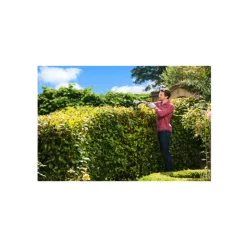 RYOBI - Taille-haies électrique ryobi 550w - rht5655rs