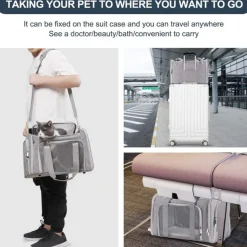 Sac à dos de chat portable et pliable pour sorties taille l downypaws