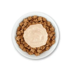 SCHESIR - Friandises stix thon schesir chat 6x15 g