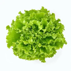 SEMISAUVAGE PERMACULTURE - Coffret de graines - spécial salades - semisauvage permaculture