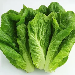 SEMISAUVAGE PERMACULTURE - Coffret de graines - spécial salades - semisauvage permaculture