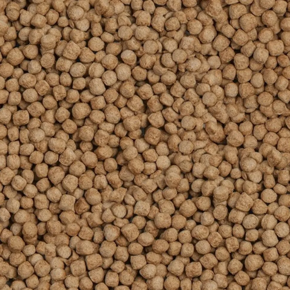 SERA - Sera koi royal medium 21l (5.65kg)