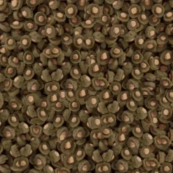 SERA - Spirulina 1 kg sera koi professional aliment composé spécial couleurs