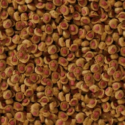 SERA - Été 2.2kg sera koi professional aliment