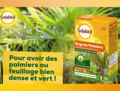 SOLABIOL - Sopalmy15 - engrais palmiers et plantes méditerranéennes - 1,5 kg - utilisable en agriculture biologique