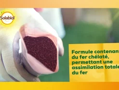 SOLABIOL - Soseq01 - sequestrene antichlorose 100g - action longue durée - fabriqué en france - utilisable en agriculture biologique