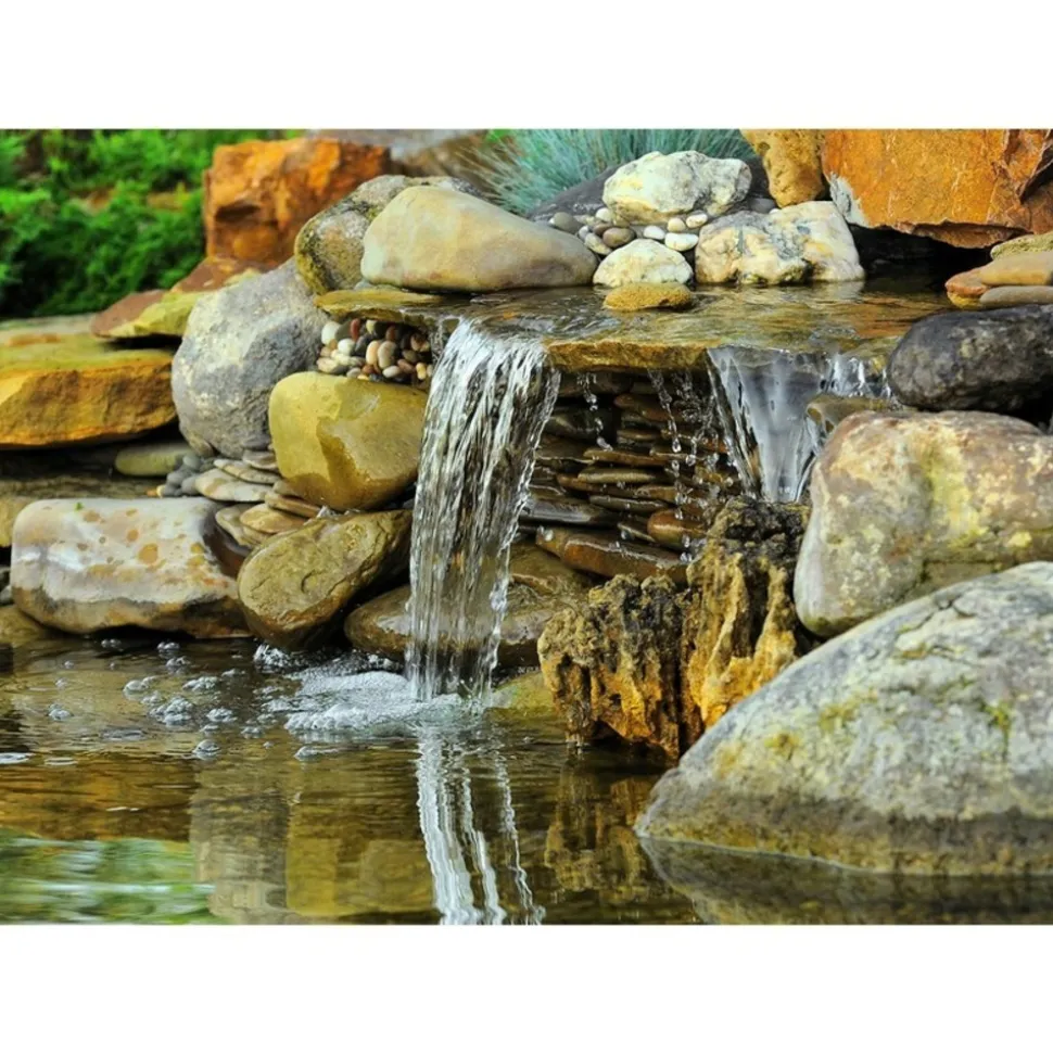 SOLAIREPRATIQUE - Kit pompe solaire bassin avec filtre premium 2500l-50w