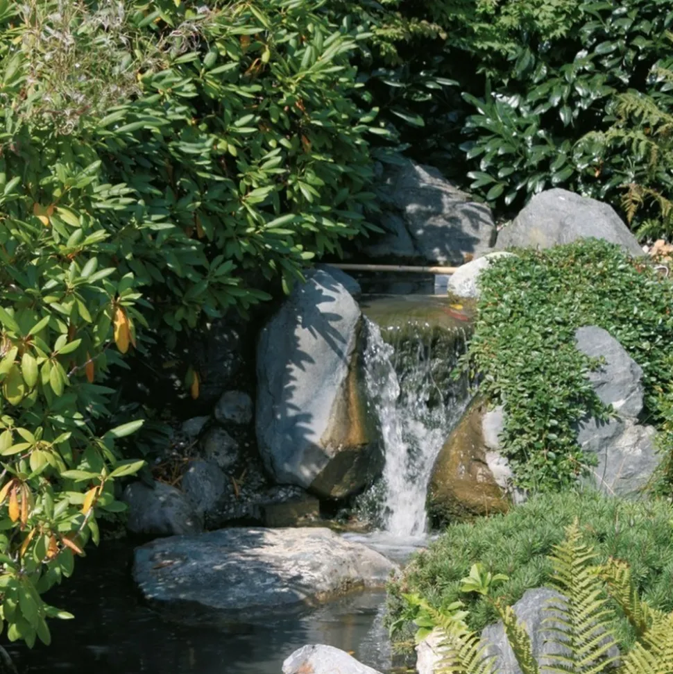 SOLAIREPRATIQUE - Kit pompe solaire bassin avec filtre gros débit premium 5000l-150w