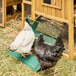 SWEEEK - Mangeoire automatique pour poules - distributeur à pédale - capacité de 5kg - acier galvanisé