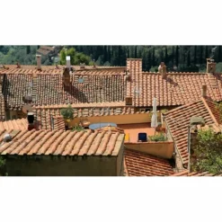 3T - Antimousse concentré 3t 5 litres à diluer pour 1000 m² de traitement toit toiture mur et sol