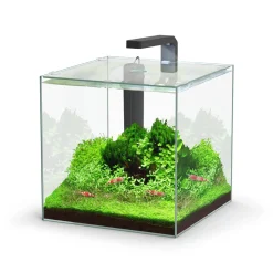 TECATLANTIS - Aquarium Kubus 22L Led équipé