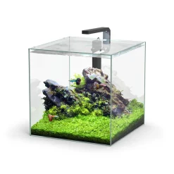 TECATLANTIS - Aquarium équipé Kubus transparent - 60 litres