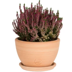 TERRABLANCA - Coupe en terre cuite claire Ø 40 x H. 20 cm