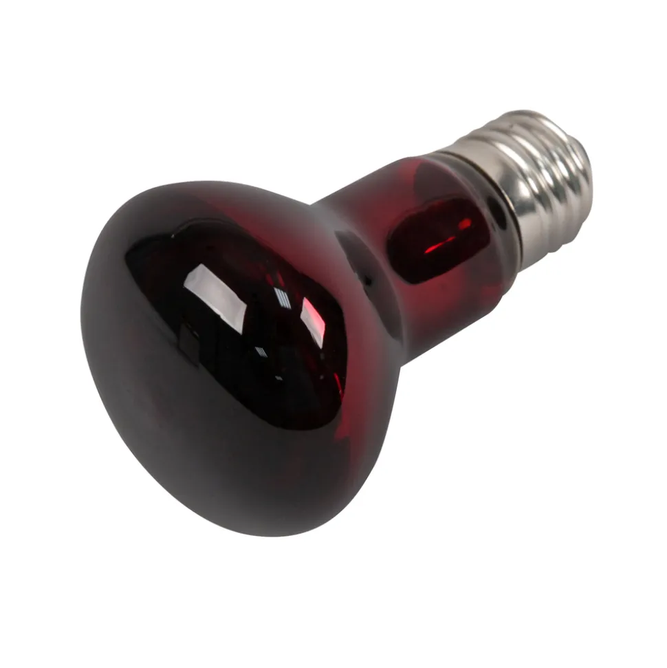 TERRATLANTIS - Lampe chauffante infrarouge 100W