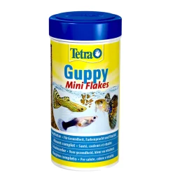 TETRA - Aliment complet pour guppies TetraGuppy : 250 ML