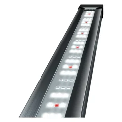 TETRA - Rampe d'éclairage tetronic led proline 980