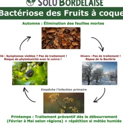 TOUT POUR LES NUISIBLES - Solu'bordelaise - 1 kg de bouillie bordelaise - bactériose des fruits à coque - utilisable agriculture biologique