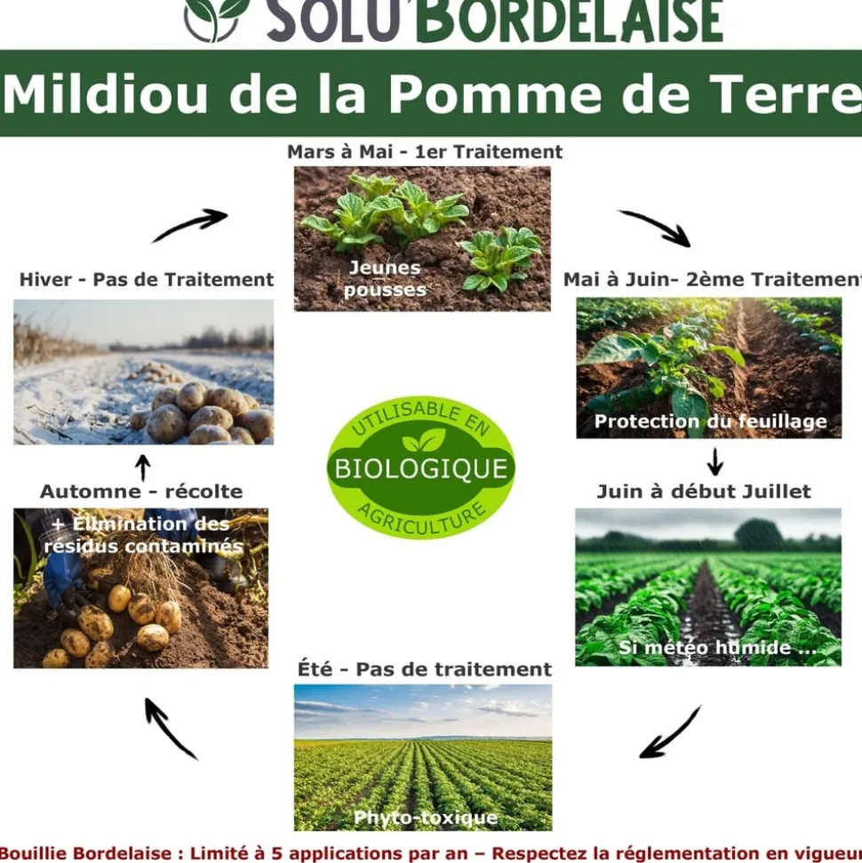 TOUT POUR LES NUISIBLES - Solu'bordelaise - 3 kg de bouillie bordelaise - mildiou de la pomme de terre - utilisable agriculture biologique - 3 sachets de 1kg
