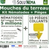 TOUT POUR LES NUISIBLES - Kit nématodes 5 millions + 10 pièges collants xxl - contre les mouches du terreau - formulation gel longue durée pour traiter 25 pot