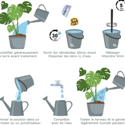 TOUT POUR LES NUISIBLES - Kit nématodes 5 millions + 10 pièges collants xxl - contre les mouches du terreau - formulation gel longue durée pour traiter 25 pot