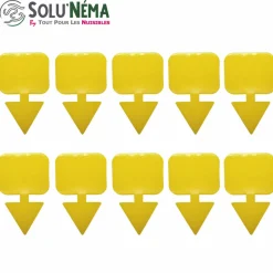 TOUT POUR LES NUISIBLES - Kit nématodes 5 millions + 10 pièges collants xxl - contre les mouches du terreau - formulation gel longue durée pour traiter 25 pot