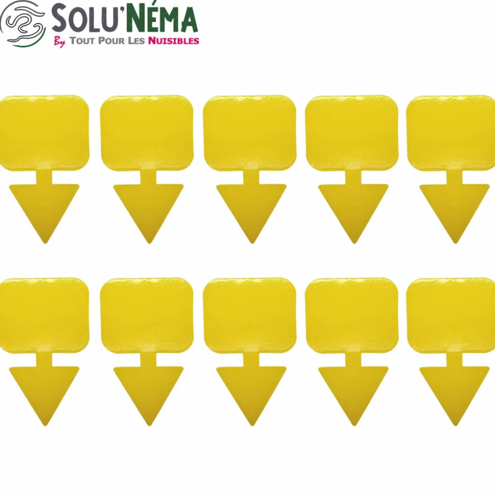 TOUT POUR LES NUISIBLES - Kit nématodes 5 millions + 10 pièges collants xxl - contre les mouches du terreau - formulation gel longue durée pour traiter 25 pot