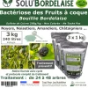 TOUT POUR LES NUISIBLES - Solu'bordelaise - 3 kg de bouillie bordelaise - bactériose des fruits à coque - utilisable agriculture biologique - 3 sachets de 1kg