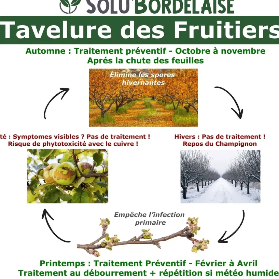 TOUT POUR LES NUISIBLES - Solu'bordelaise - tavelure des fruitiers-3 kg de bouillie bordelaise non colorée