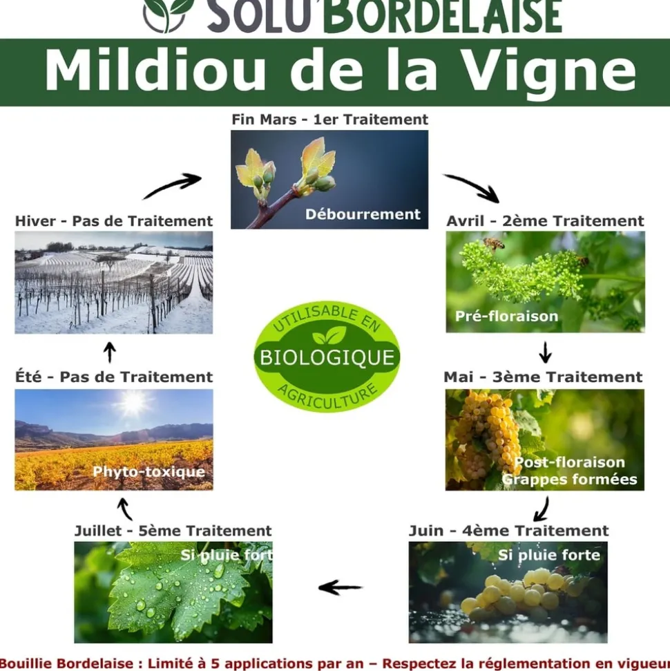 TOUT POUR LES NUISIBLES - Solu'bordelaise - 3 kg de bouillie bordelaise - mildiou de la vigne - utilisable agriculture biologique - 3 sachets de 1 kg