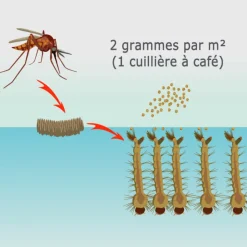 TOUT POUR LES NUISIBLES - Solu'bti - moustiques - 800 gr de larvicide biologique