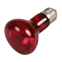 TRIXIE - 50 w lampe infrarouge à chaleur, ø 63 × 100 mm