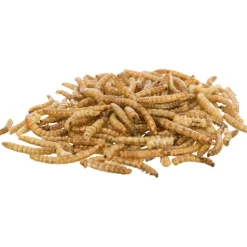 TRIXIE - Larves de vers de farine séchées 70 g