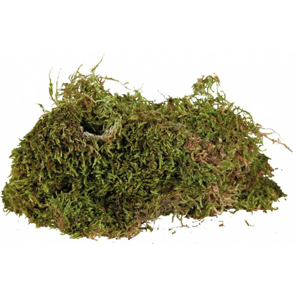 TRIXIE - Mousse pour terrarium, 200 g, substrat pour terrariums humides.